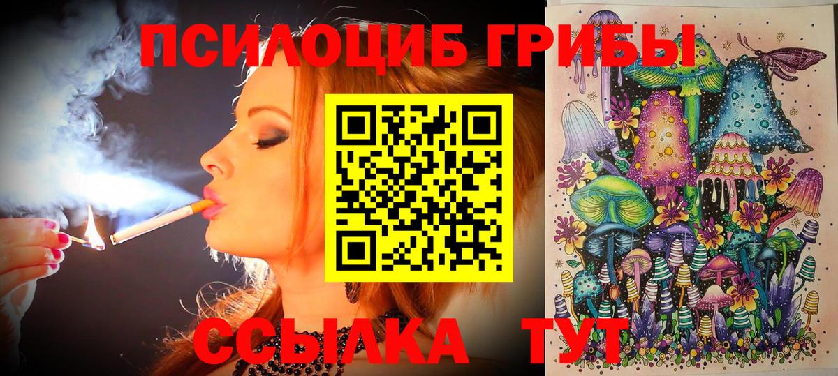 Александров  Псилоцибиновые грибы прущие грибы  Вход с VPN 