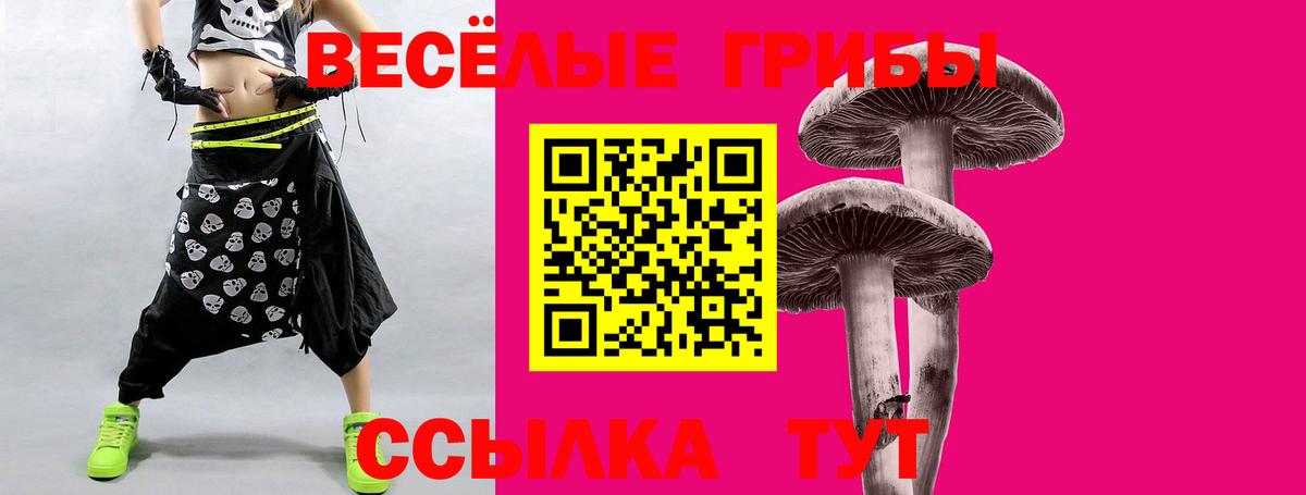 Галлюциногенные грибы ЛСД Александров